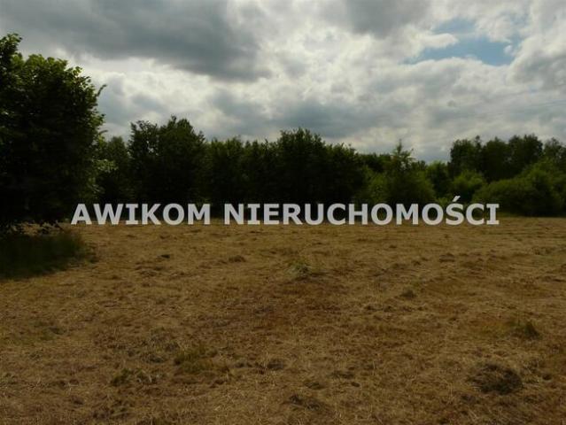 Grunt na sprzedaż w Puszcza Mariańska, Mazowieckie