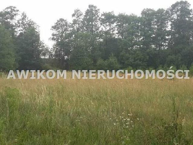 Grunt na sprzedaż w Radziejowice, Mazowieckie