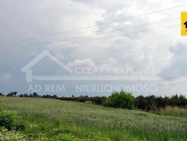 Grunt na sprzedaż w Biała Podlaska, Lubelskie