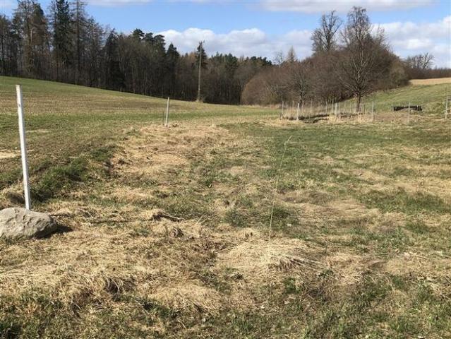 Grunt na sprzedaż w Puck, Pomorskie