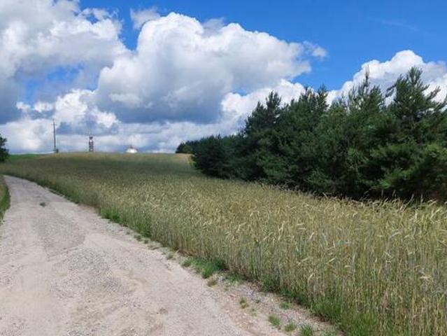 Grunt na sprzedaż w Ślesin, Wielkopolskie