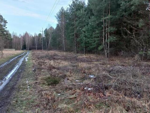 Grunt na sprzedaż w Zagnańsk, Świętokrzyskie