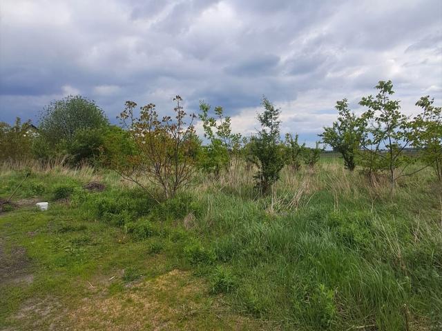 Grunt na sprzedaż w Kalisz, Wielkopolskie
