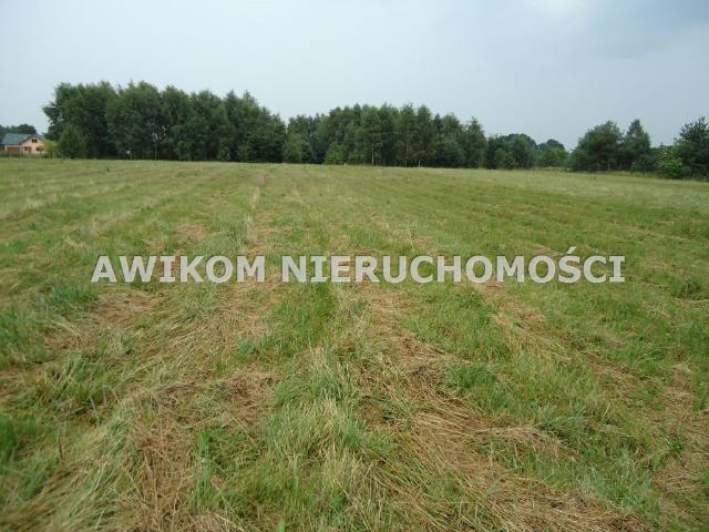 Grunt na sprzedaż w Rusiec, Mazowieckie