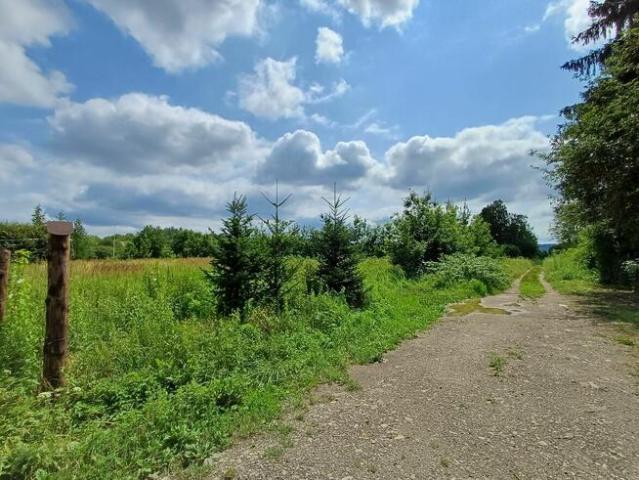 Grunt na sprzedaż w Sanok, Podkarpackie