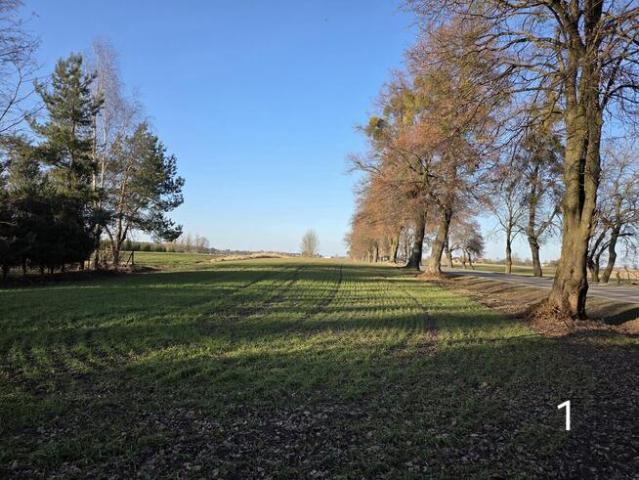 Grunt na sprzedaż w Chełm, Lubelskie