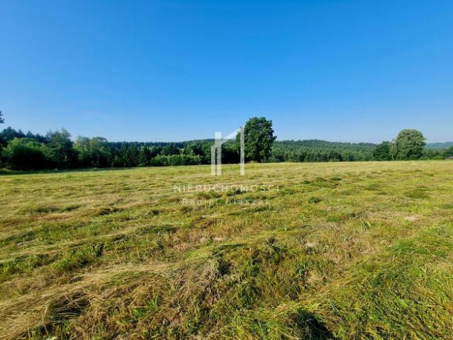 Grunt na sprzedaż w Skołyszyn, Podkarpackie