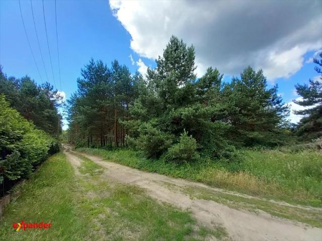Grunt na sprzedaż w Sąsieczno, Kujawsko-pomorskie