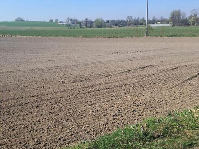 Grunt na sprzedaż w Godziesze Wielkie, Wielkopolskie