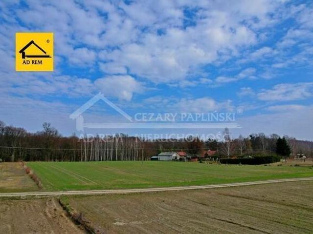 Grunt na sprzedaż w Wąwolnica, Lubelskie