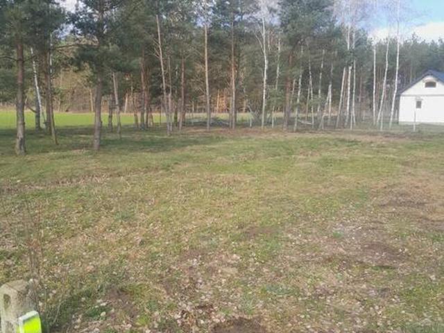 Grunt na sprzedaż w Skierniewice, Łódzkie