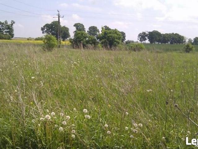 Grunt na sprzedaż w Bielice, Zachodniopomorskie