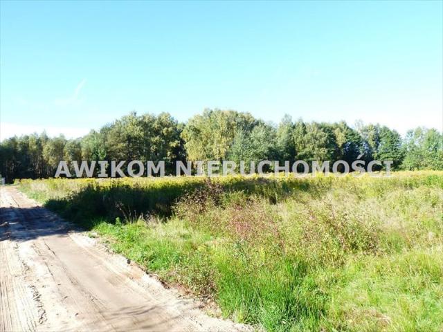 Grunt na sprzedaż w Blich, Jaktorów