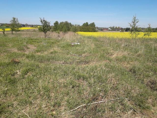 Grunt na sprzedaż w Andrespol, Łódzkie