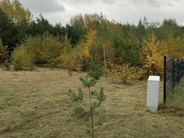 Grunt na sprzedaż w Pniewy, powiat grójecki