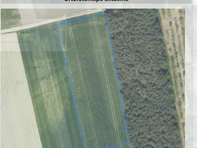 Grunt na sprzedaż w Urzędów, powiat kraśnicki