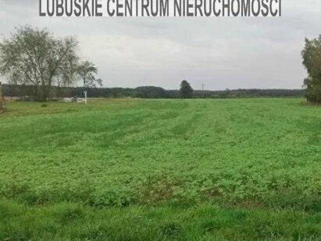 Grunt na sprzedaż w Lubiszyn, Lubuskie