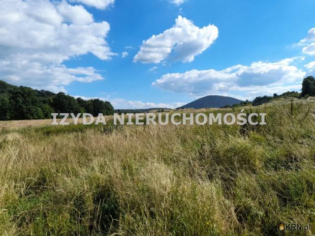 Grunt na sprzedaż w Struga, Dolnośląskie