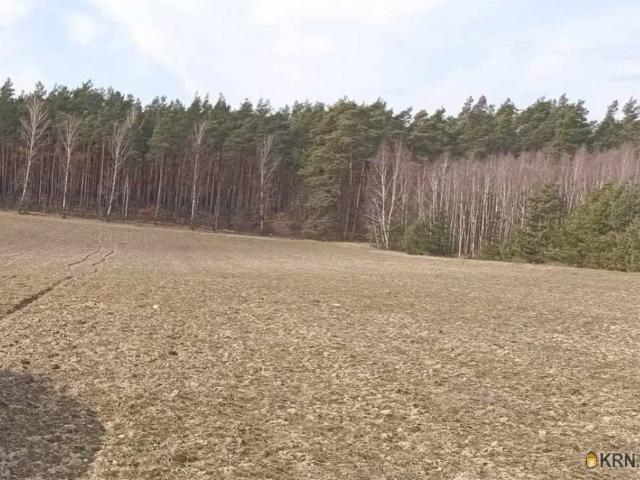 Grunt na sprzedaż w Osie, Kujawsko-pomorskie
