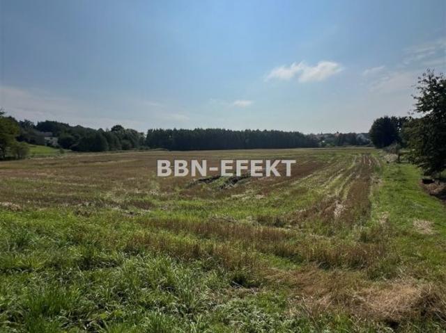 Grunt na sprzedaż w Bestwina, Śląskie