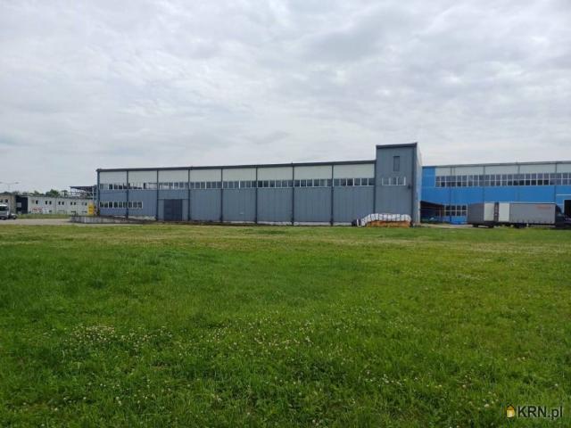 Grunt na sprzedaż w Malbork, Pomorskie