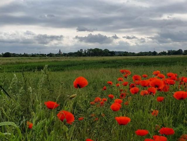 Grunt na sprzedaż w Trzebiatów, Zachodniopomorskie