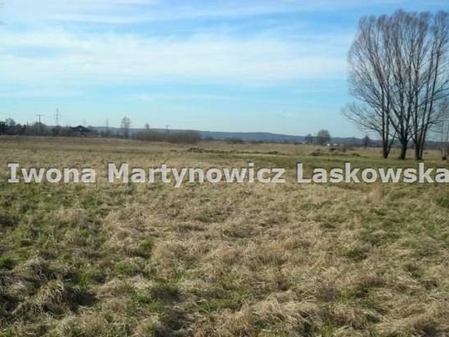 Grunt na sprzedaż w Krzeczyn Wielki, Dolnośląskie