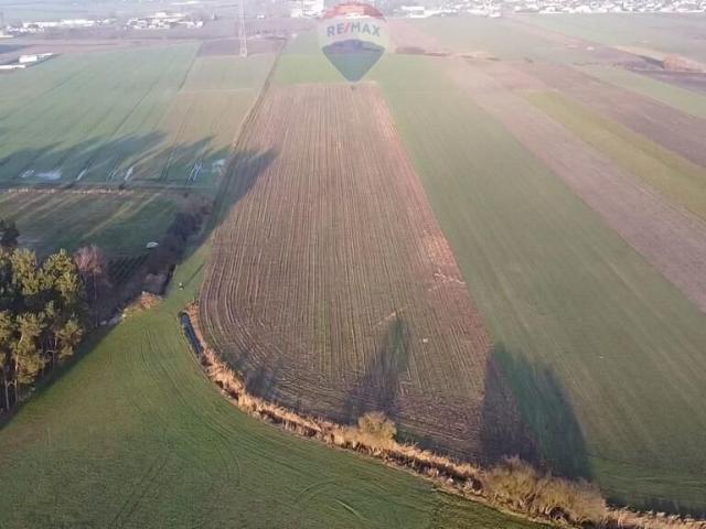 Grunt na sprzedaż w Borek Wielkopolski, Wielkopolskie