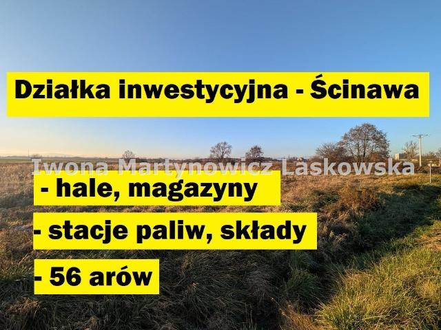 Grunt na sprzedaż w Ścinawa, Dolnośląskie