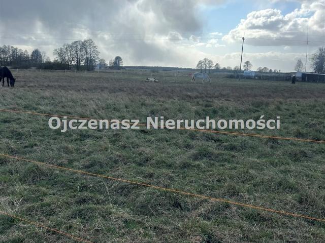 Grunt na sprzedaż w Przyłęki, Kujawsko-pomorskie