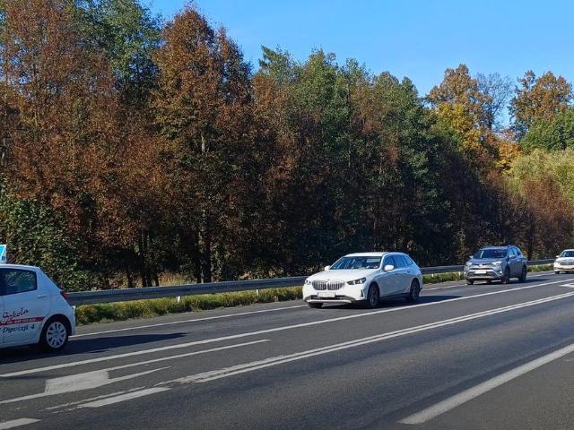 Grunt na sprzedaż w Olszyna, Dolnośląskie
