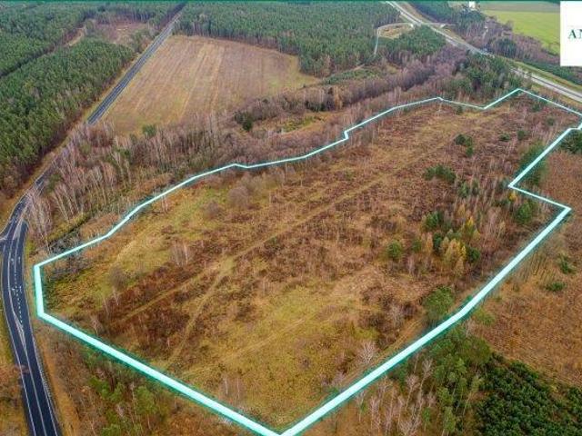 Grunt na sprzedaż w Pieńsk, Dolnośląskie