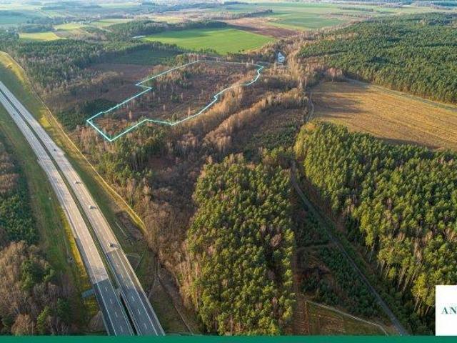 Grunt na sprzedaż w Pieńsk, Dolnośląskie