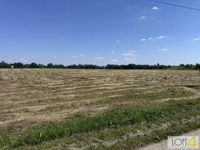 Grunt na sprzedaż w Mędrzechów, Małopolskie