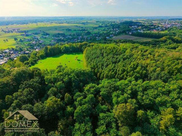 Grunt na sprzedaż w Gorzyce, Śląskie