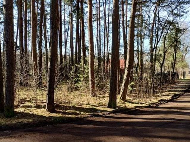 Grunt na sprzedaż w Nowe Miasto, powiat płoński