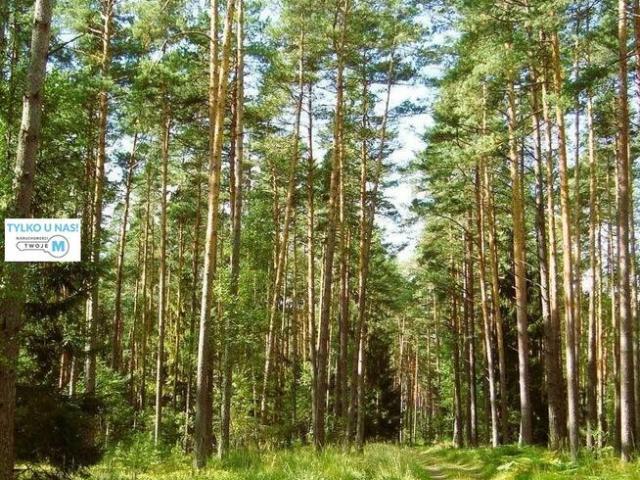 Grunt na sprzedaż w Chmielnik, Świętokrzyskie