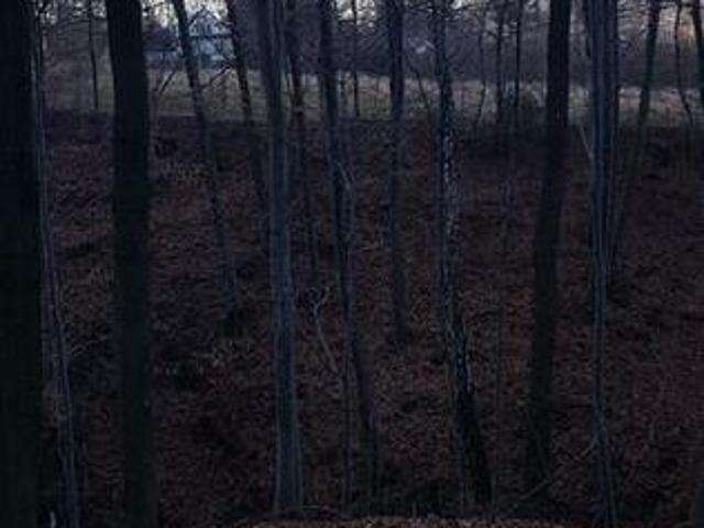 Grunt na sprzedaż w Limanowa, Małopolskie