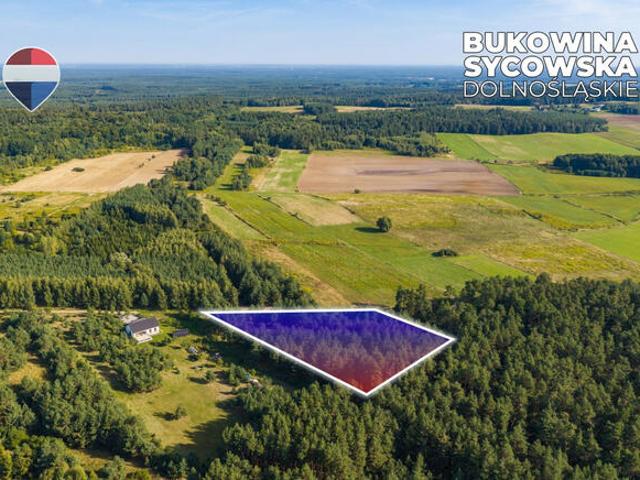 Grunt na sprzedaż w Międzybórz, Dolnośląskie