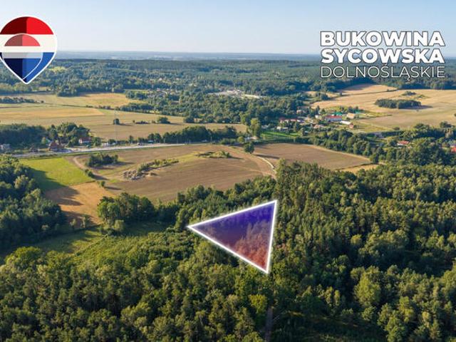 Grunt na sprzedaż w Międzybórz, Dolnośląskie