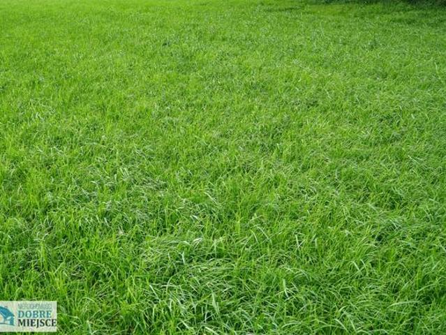 Grunt na sprzedaż w Koronowo, Kujawsko-pomorskie