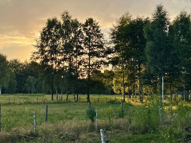 Grunt na sprzedaż w Leoncin, Mazowieckie