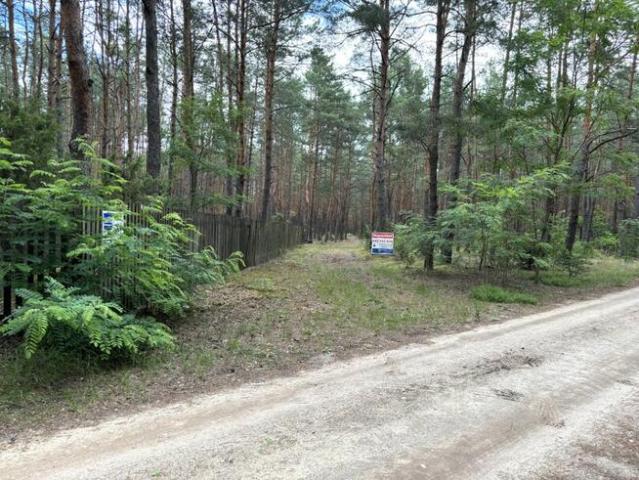 Grunt na sprzedaż w Nieporęt, Mazowieckie