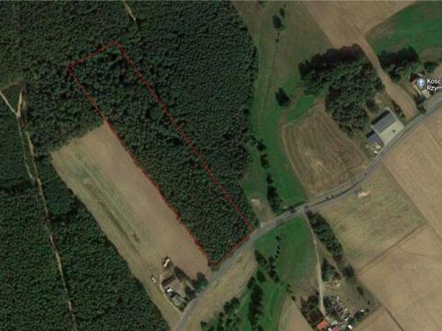 Grunt na sprzedaż w Nowe Miasto Nad Wartą, Wielkopolskie