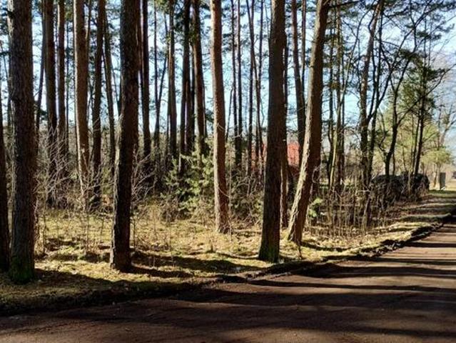 Grunt na sprzedaż w Nowe Miasto, powiat płoński