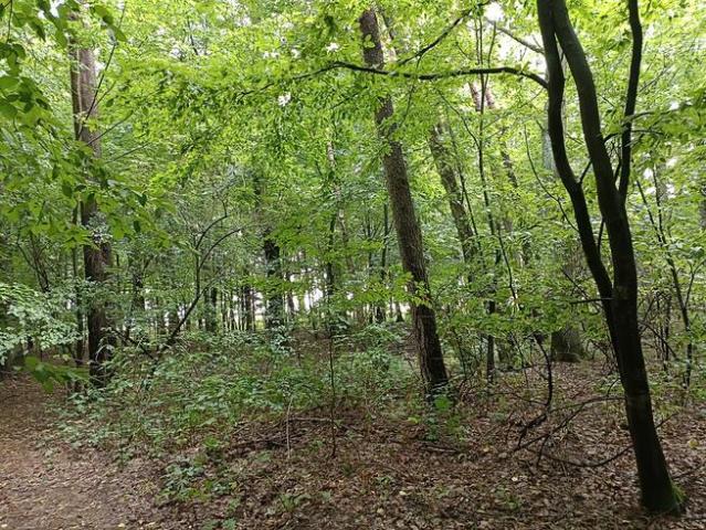 Grunt na sprzedaż w Kamionka, Lubelskie