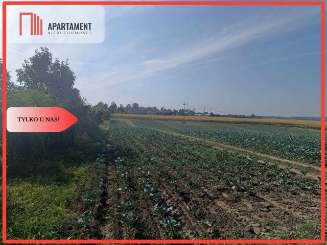 Grunt na sprzedaż w Unisław, Kujawsko-pomorskie