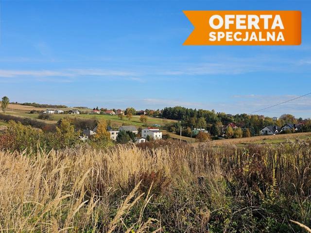 Grunt na sprzedaż w Skała, Małopolskie