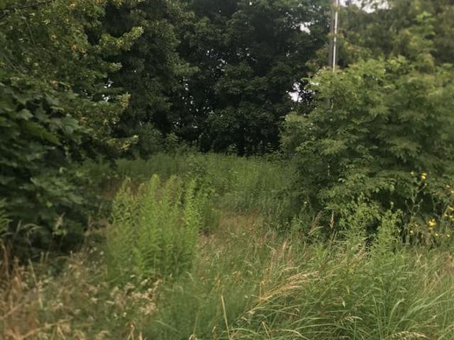 Grunt na sprzedaż w Pniewy, Wielkopolskie