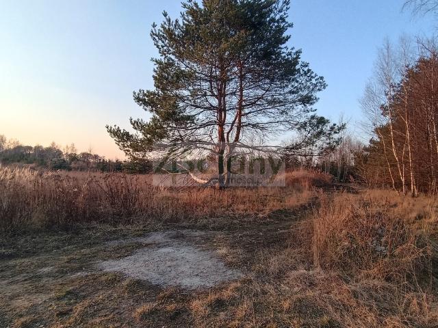 Grunt na sprzedaż w Żelechów, powiat grodziski